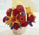 Floral Arrangements - Omaha Florist