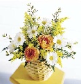 Spring Summer Autumn & Winter flowers delivered in Omaha Nebraska