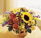 Flower arrangements delivered in Omaha, Nebraska