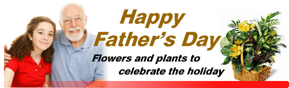 Father's Day Flowers and Plants