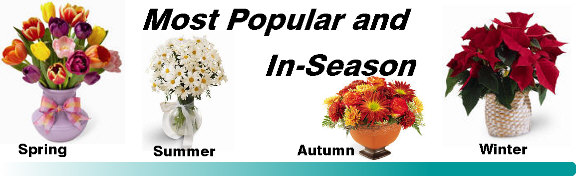 Most Popular