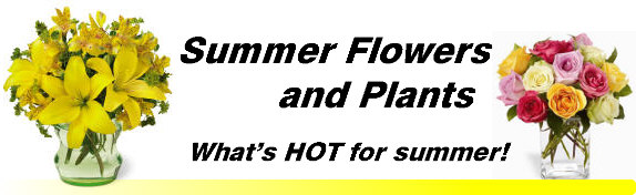 Summer